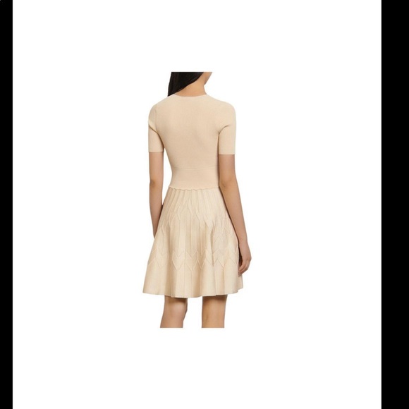 NWT Sandro Espera Dress - Picture 4 of 11